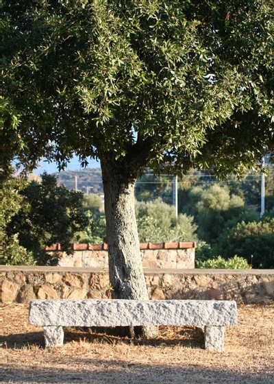 Tassinca, un village éclaté Tassinca, un village éclaté