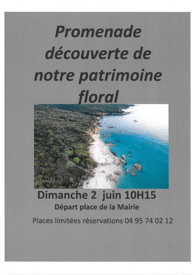 Promenade découverte de notre patrimoine floral Promenade découverte de notre patrimoine floral