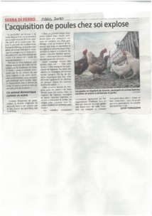 Corse matin Mars 2020 Corse matin Mars 2020