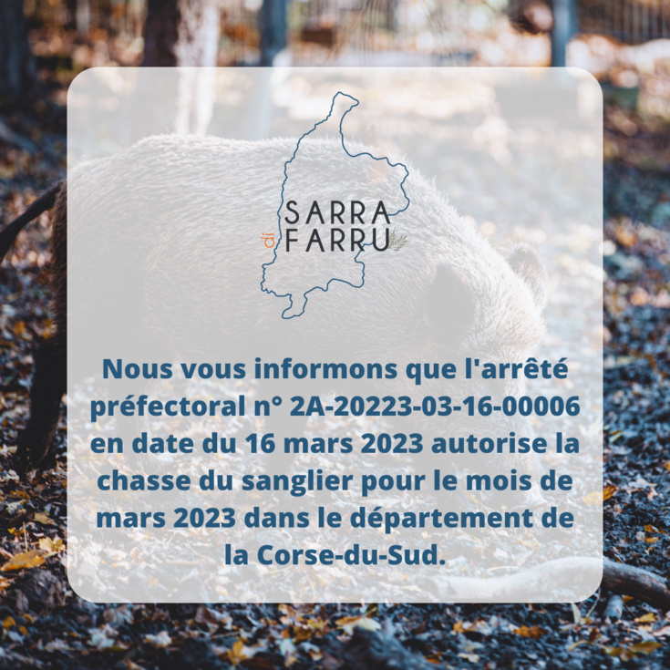 Ouverture de la chasse du sanglier pour le mois de mars 2023 en Corse-du-Sud