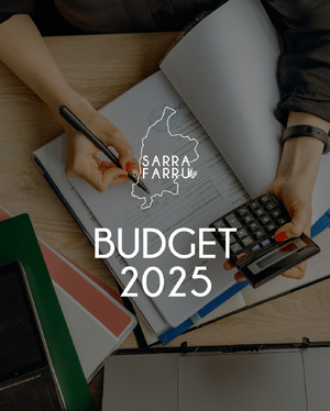 BUDGET 2025 BUDGET 2025