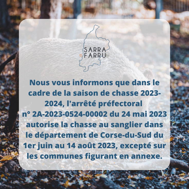 Ouverture anticipée de la chasse au sanglier en Corse-du-Sud