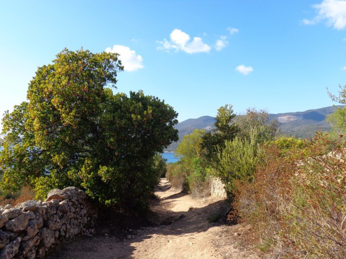 CHEMINS DES DOUANIERS