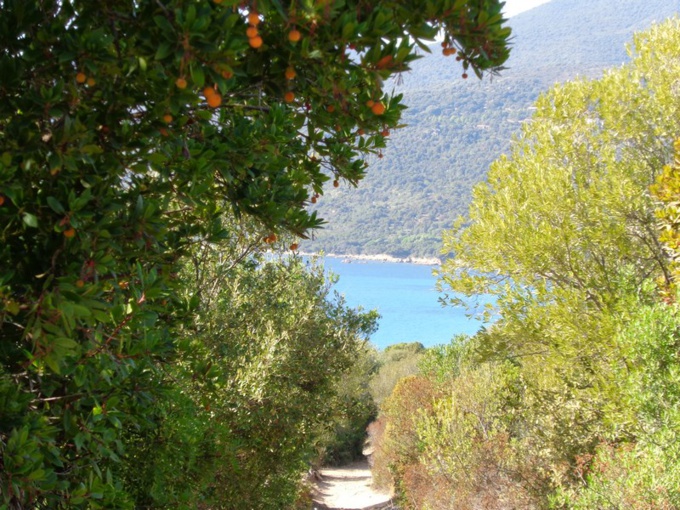 CHEMINS DES DOUANIERS