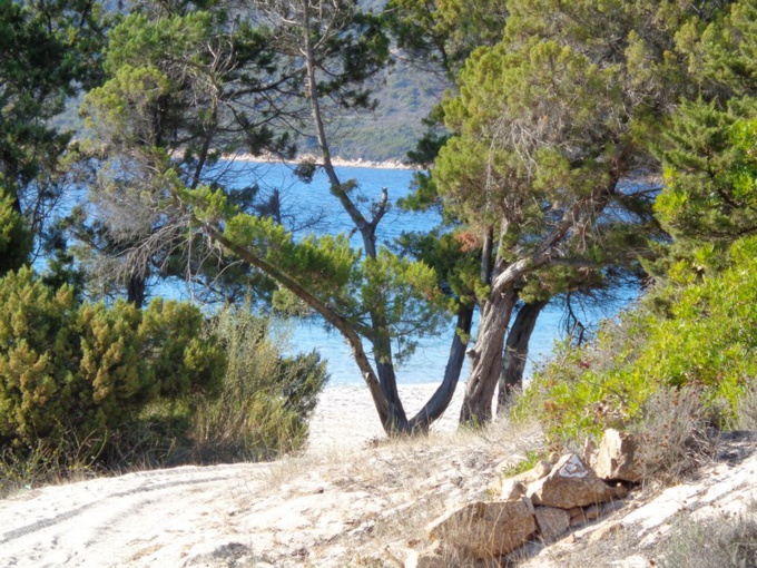 CHEMINS DES DOUANIERS