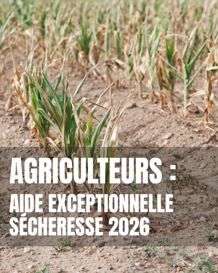 AGRICULTEURS : AIDE EXCEPTIONNELLE SÉCHERESSE 2026 AGRICULTEURS : AIDE EXCEPTIONNELLE SÉCHERESSE 2026