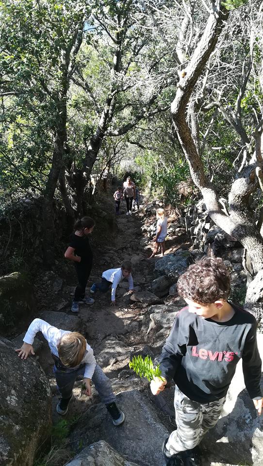Activités garderie