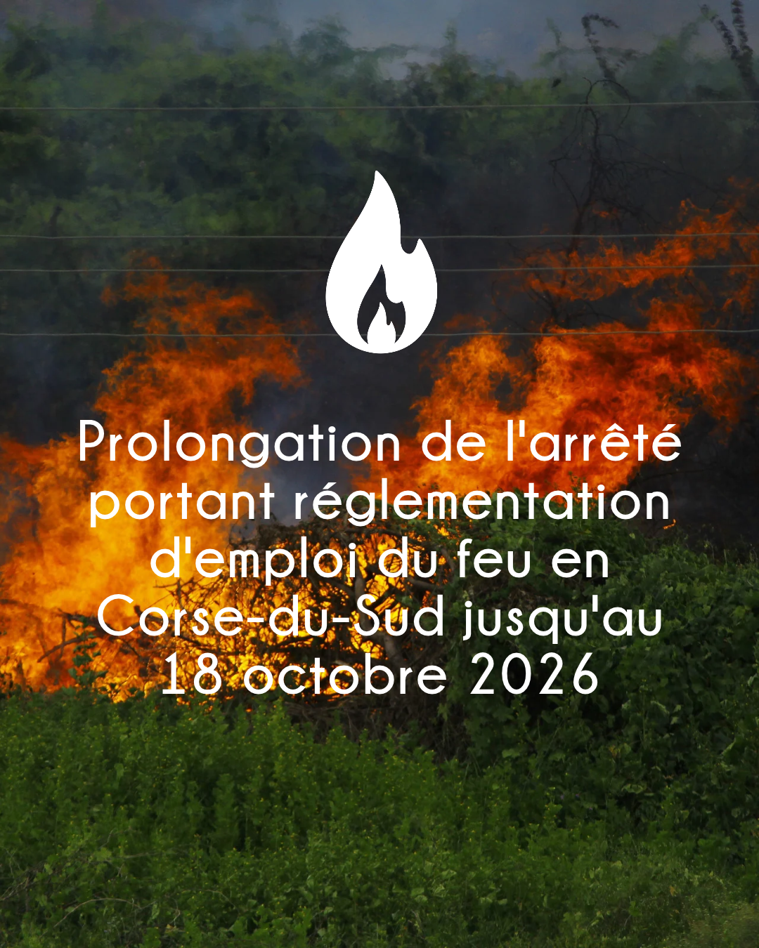 🔥Prolongation de l'Interdiction de l’emploi du feu en Corse-du-Sud jusqu'au 18 octobre 🔥 🔥Prolongation de l'Interdiction de l’emploi du feu en Corse-du-Sud jusqu'au 18 octobre 🔥