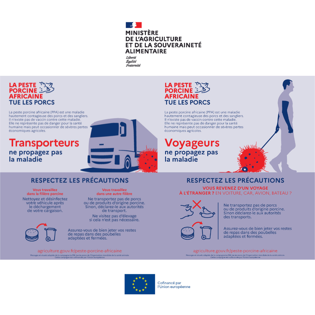 Peste Porcine Africaine : interdiction d'introduction de restes alimentaires porcins en provenance de la Sardaigne