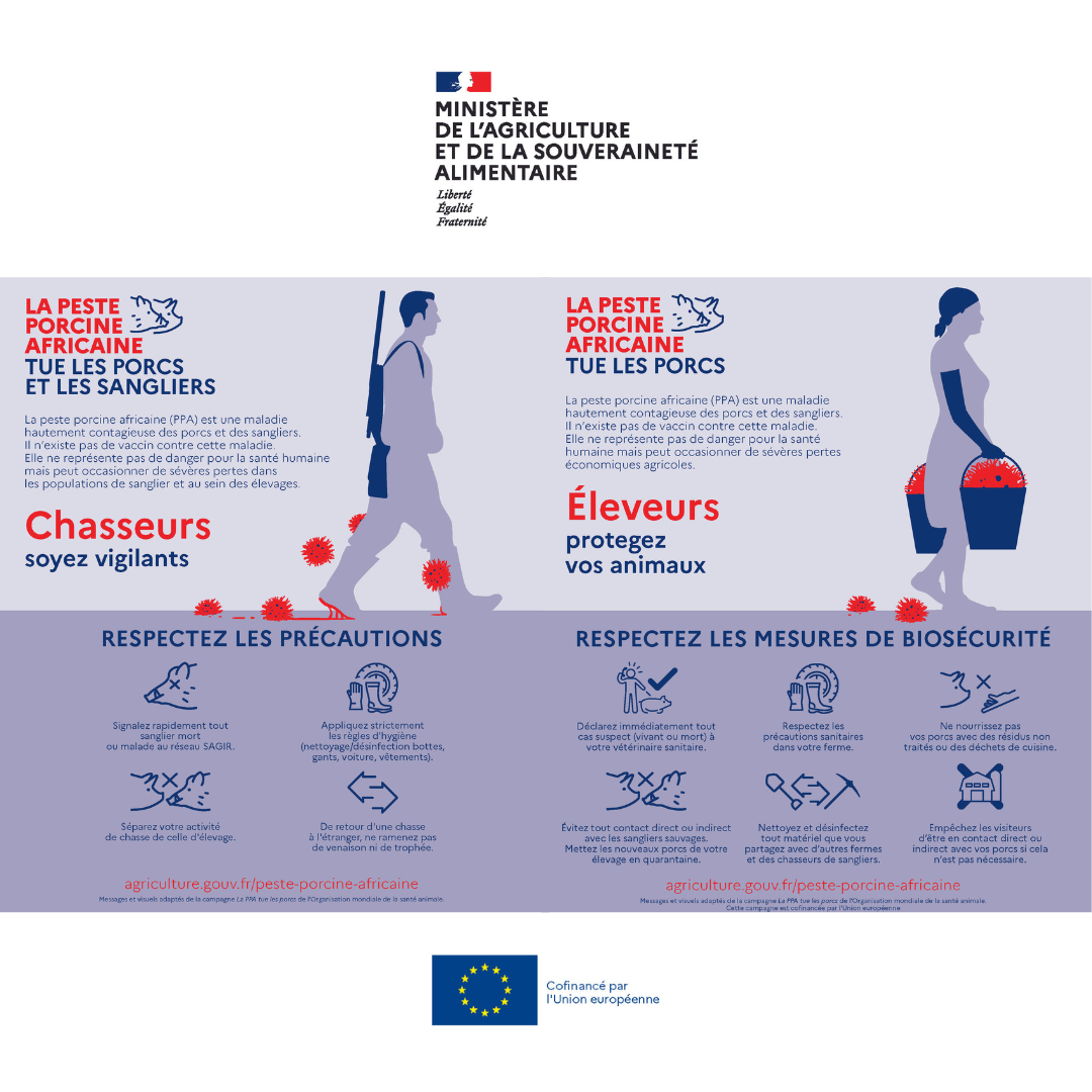 Peste Porcine Africaine : interdiction d'introduction de restes alimentaires porcins en provenance de la Sardaigne
