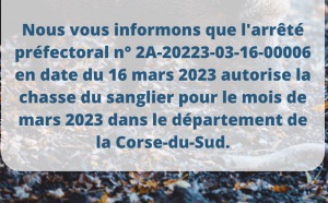 Ouverture de la chasse du sanglier pour le mois de mars 2023 en Corse-du-Sud