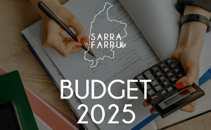 BUDGET 2025 BUDGET 2025