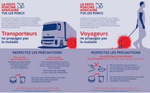 Peste Porcine Africaine : interdiction d'introduction de restes alimentaires porcins en provenance de la Sardaigne