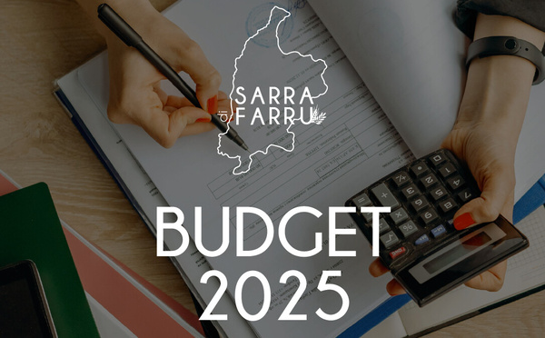 BUDGET 2025