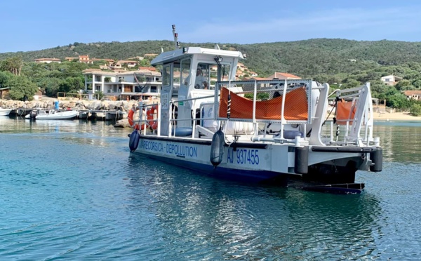 Dépullotion du littoral