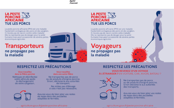 Peste Porcine Africaine : interdiction d'introduction de restes alimentaires porcins en provenance de la Sardaigne
