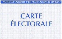 ELECTIONS DEPARTEMENTALES SERRA DI FERRO 2015