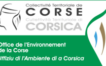 L'Office de l'environnement de la Corse  et la Mairie de Serra di Ferro rappellent l'importance de débroussailler autour de son habitation